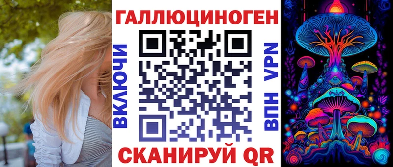 дарнет шоп  Богданович  Псилоцибиновые грибы мицелий 